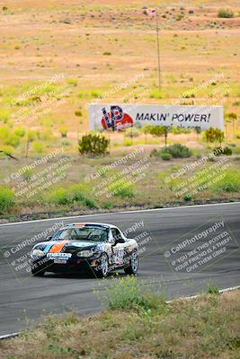 media/May-05-2024-Lucky Dog Racing (Sun) [[8a365fce5b]]/1030am-Turn 3/